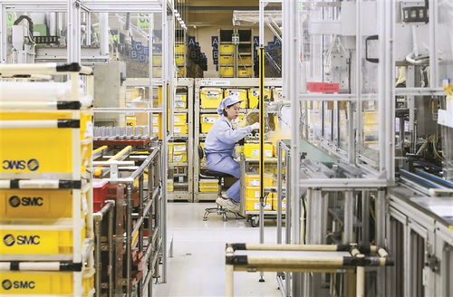 深度關注丨中國市場的磁吸力 數據處理服務的崛起與前景